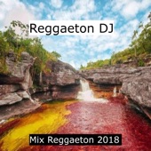 Mix Reggaeton 2018 artwork