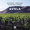 Avola - Single