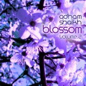 Music for Cherry Blossoms, Vol. 2 artwork