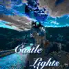 Castle Lights - Single album lyrics, reviews, download