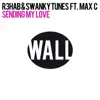 Sending My Love (feat. Max C) song lyrics