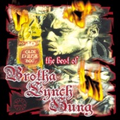 Brotha Lynch Hung - R.I.P.