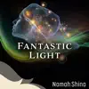 Fantastic Light album lyrics, reviews, download