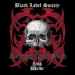 Black Label Society - Counterfeit God