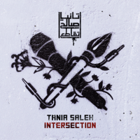 Tania Saleh - Intersection - تقاطع artwork