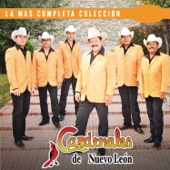 Cardenales De Nuevo León - Belleza De Cantina