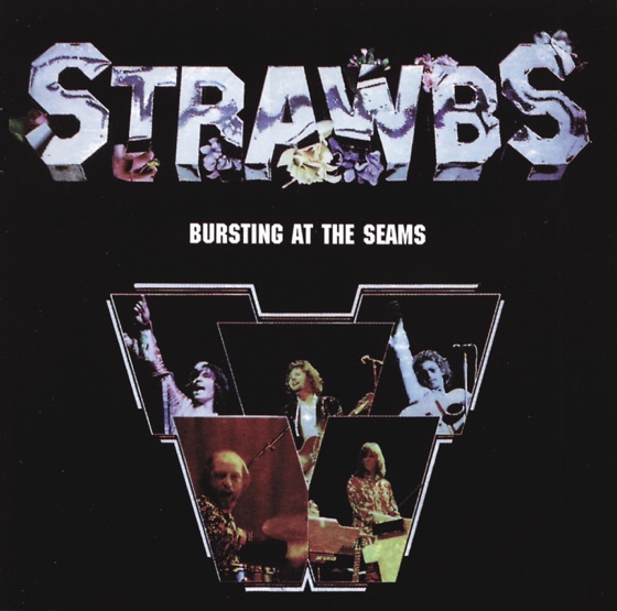 Cover artwork for Flying