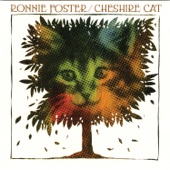 Cheshire Cat artwork