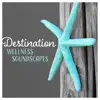 Destination Wellness Soundscapes – Peaceful Spa Session, Calm Music, Rejuvenation, Beauty Center, Ayurveda, Total Relax album lyrics, reviews, download