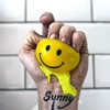 Sunny - Single