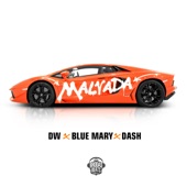 Malvada (feat. Dash & Blue Mary) artwork