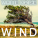 White Noise Wind - Pink Noise White Noise