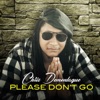 Please Don't Go - Single