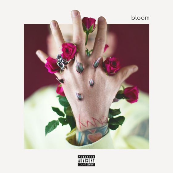 Cover artwork for Rehab