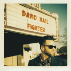 FIGHTER cover art