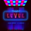 Level (feat. Ceeboi & Sean Tizzle) - Single