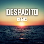 Despacito (Instrumental) artwork