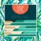 Ocean - Kayliox & A-SHO lyrics