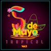 Cinco De Mayo Tropical, Vol. 2