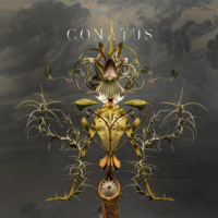 Joep Beving - Conatus artwork