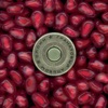 Splean - Выхода нет