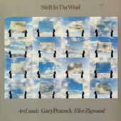 Shift In the Wind artwork
