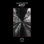Mansur Brown - Straight to the Point