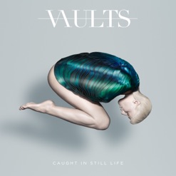 CAUGHT IN STILL LIFE cover art