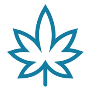 MARIHUANA Montaje de ARMARIO de CULTIVO INDOOR de CANNABIS GERMINAR SEMILLAS de MARIHUANA SKUNK