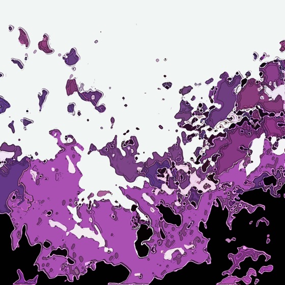 Cover artwork for In the Picture
