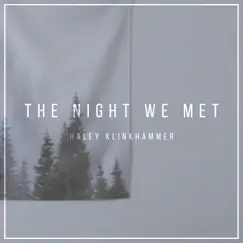 The Night We Met - Single by Haley Klinkhammer album reviews, ratings, credits