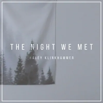 The Night We Met - Single - Haley Klinkhammer
