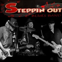 Steppin'Out Bluesband - Little Fly
