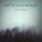 Perceptions - Mattia Vlad Morleo lyrics