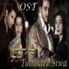 Tumhare Siwa (From "Tumhare Siwa") - Single album lyrics, reviews, download