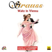 Strauss: Waltz in Vienna artwork