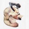 Always Through Glass - Semi Precious lyrics
