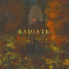 Radiate artwork