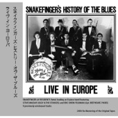 Snakefinger's History of the Blues artwork