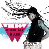 Whip My Hair artwork