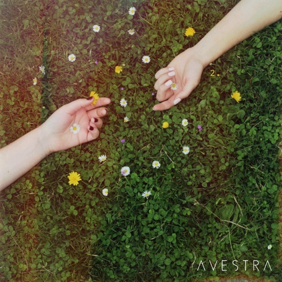 Cover artwork for Willow