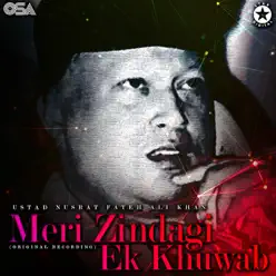 Meri Zindagi Ek Khuwab - Single - Nusrat Fateh Ali Khan Meri Zindagi Ek Khuwab - Single - Nusrat Fateh Ali Khan