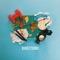 Directions - Blanks lyrics