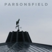 Parsonsfield - Go Find Yourself