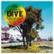 Dive (Matt Berry Remix) - Saint Etienne & Matt Berry lyrics