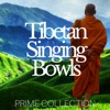 Tibetan Singing Bowls - Prime Collection