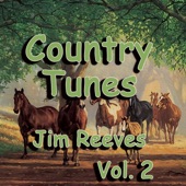 Country Tunes, Vol. 2 artwork