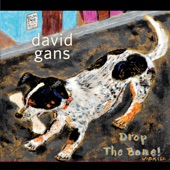 David Gans - Life Is a Jam
