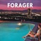 Geneva - Forager lyrics