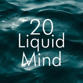 20 Liquid Mind - Happiness Frequency, Relaxing Music, Detachment From Over-Thinking artwork